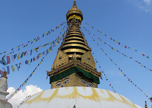 	
Darjeeling Tour In Gorakhpur